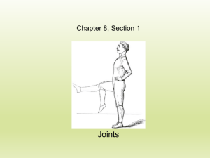 Synovial joint