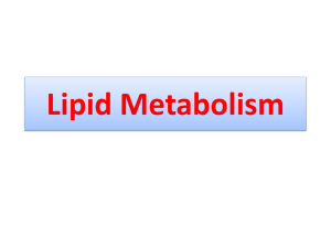 Lipid Metabolism