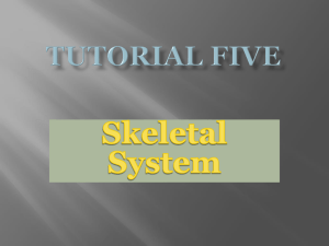 TEP Week 5 tutorial Skeletal system