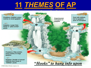 AP_Bio_power_point_lectures_files/Lecture Chpt. Themes