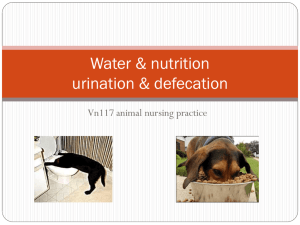 07_Water_nutrition