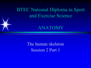2nd lecture part 1 - function of skeleton and types of bones