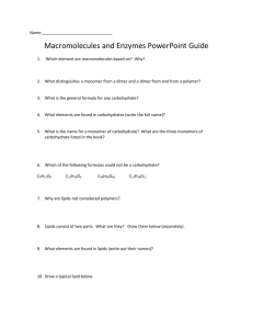 Macromolecule and Enzyme Review Worksheet