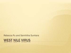 4A West Nile Virus project (1)