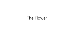 The flower - notes from Sept. 17
