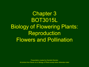 Chapter 3 BOT3015L Biology of Flowering Plants: Reproduction