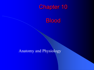 AnatomyNotes ch. 10(Blood).
