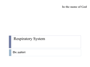 respiratory epithelium