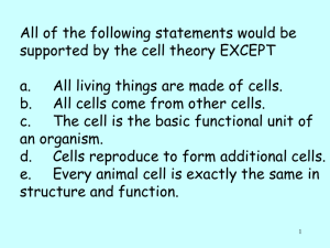 Cell structure - Pre