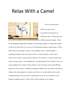 Relax With a Camel - throughconsumerseyes