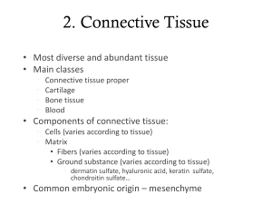 Tissue Types Part 3