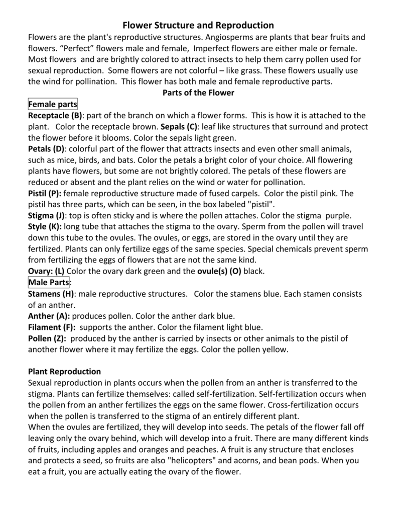 Flower Structure and Reproduction Intended For Plant Reproduction Worksheet Answers