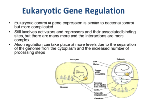 Eukaryotic Gene Regulation