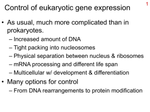 Control of eukaryotic gene expression