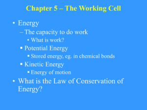 Chapter 5 The Working Cell