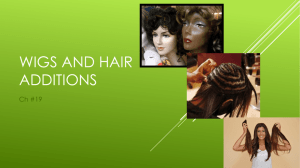 Ch#19 Wigs and Hair Additions Power Point Notes Outline