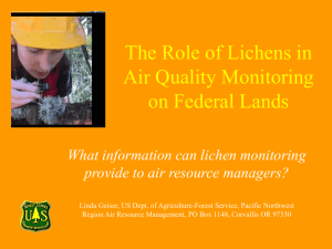 What information can lichen monitoring provide?