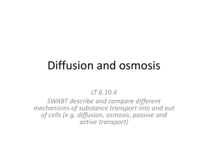 Diffusion - Verbum Dei High School Science Department