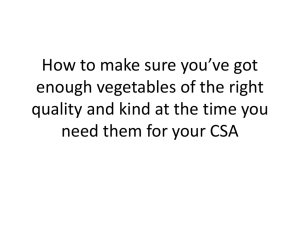 Producing an Abundance for Your CSA