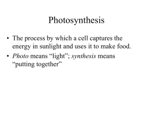 Ch. 2 Sect. 3 and 4 Photosynthesis/Respiration with essays