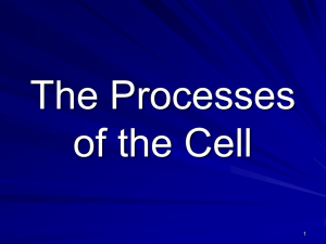 Cell Processess - Polk School District