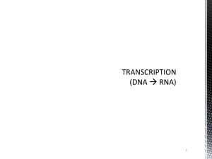 TRANSCRIPTION (DNA * RNA)