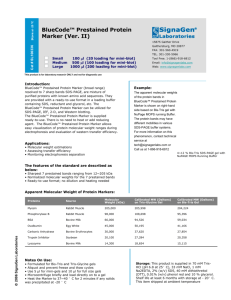 BlueCode™ Prestained Protein Marker (Ver. II)