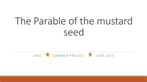 The Parable of the mustard seed by Jake