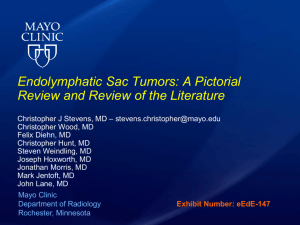 Endolymphatic Sac Tumors
