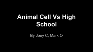 Animal Cell Vs High School