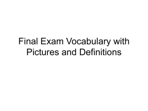 Final Exam Vocabulary with Pictures and Definitions30