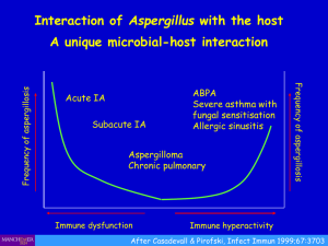 Chronic and invasive aspergillosis