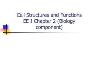 EE I Chapter 2 Cell Structures and Functions