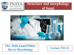 Lecture 1Structure and morphology of fungi