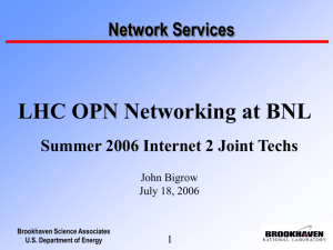 LHC OPN Networking at BNL