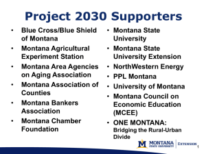 MSU Branding Process - Montana State University