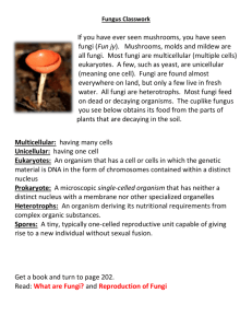 Fungus Classwork - armstrong