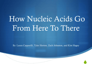 Everybody Poops: How Nucleic Acids Go From Here To There