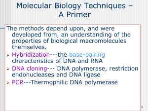 MolBiolTech