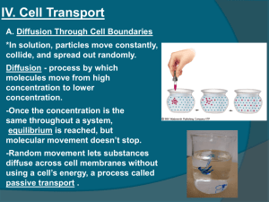 IV. Cell Transport
