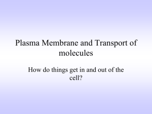 Plasma Membrane and Transport of molecules