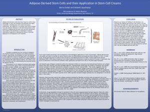 Adipose-Derived Stem Cells and their Application