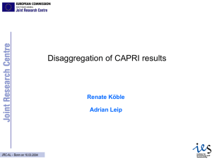 Renate Koeble & Adrian Leip, Ispra: Disaggregation of CAPRI results