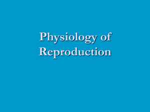 5 Reproductive Physiology