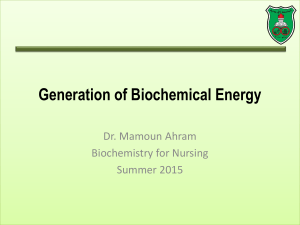 BioN06 Generation of Biochemical Energy Summer 2015