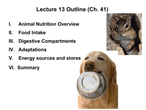 lecture 13 ppt