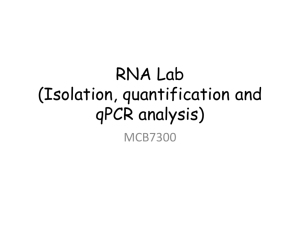 RNA and qPCR lab 2015
