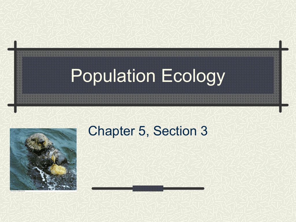 Three Key Features Of Populations 3 Density