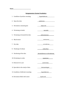 Integumentary System 2014 answer sheet