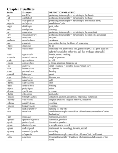 Chapter 2 Suffixes alphabetical